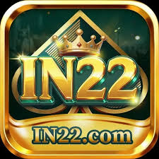 IN22 IN22 APK icon