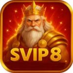 SVIP8 SVIP8 APK icon